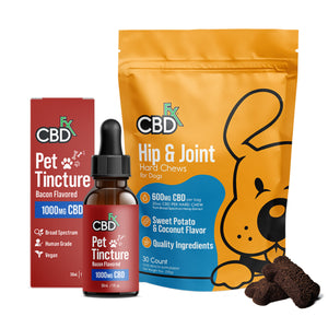 CBD for Dogs: Mobility Bundle