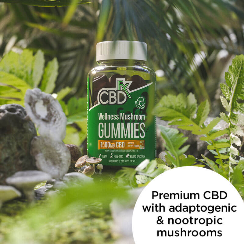 CBDfx mushroom gummies lifestyle image