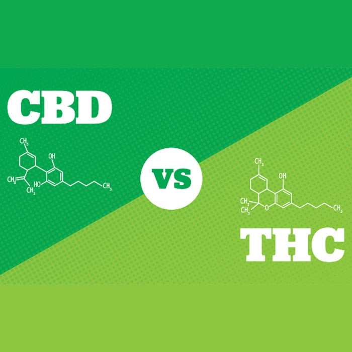 Does CBD Show Up on a Drug Test? 2021 [ April ]